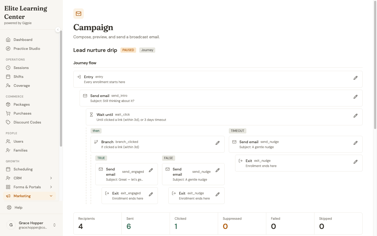 The journey builder showing the Lead nurture drip graph with entry, email, wait-until, and branch nodes