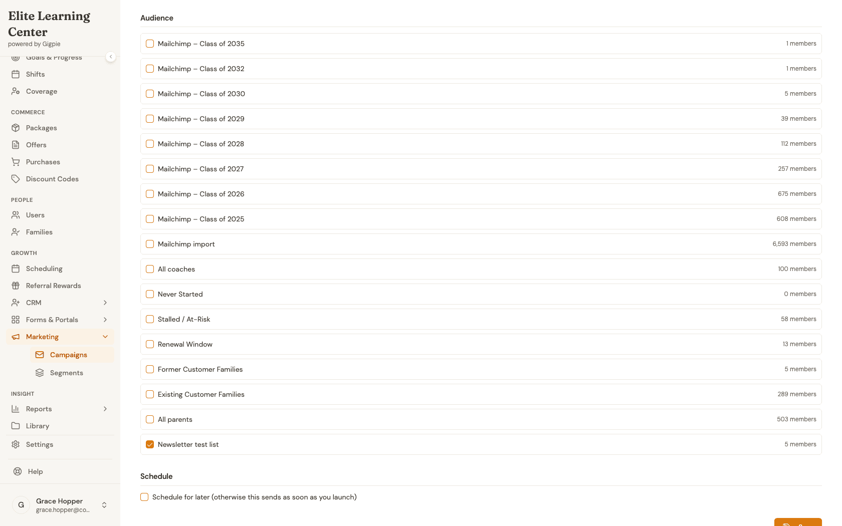 Audience section with segment checkboxes and member counts, Schedule section, Save button, Test send fields, and Launch campaign button